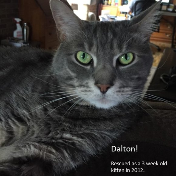 Meet your Posher, Andrea - Picture 2 of 7